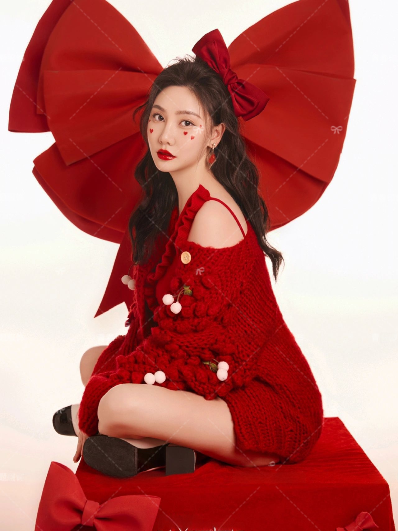Red Sweater Christmas Theme Ne - đánh giá và giá Photography Of The Year